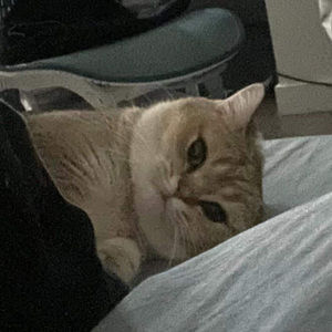 Meet your Posher, Zhen